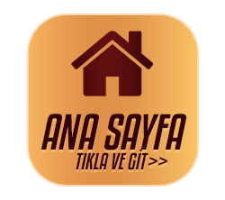 Ana Sayfa